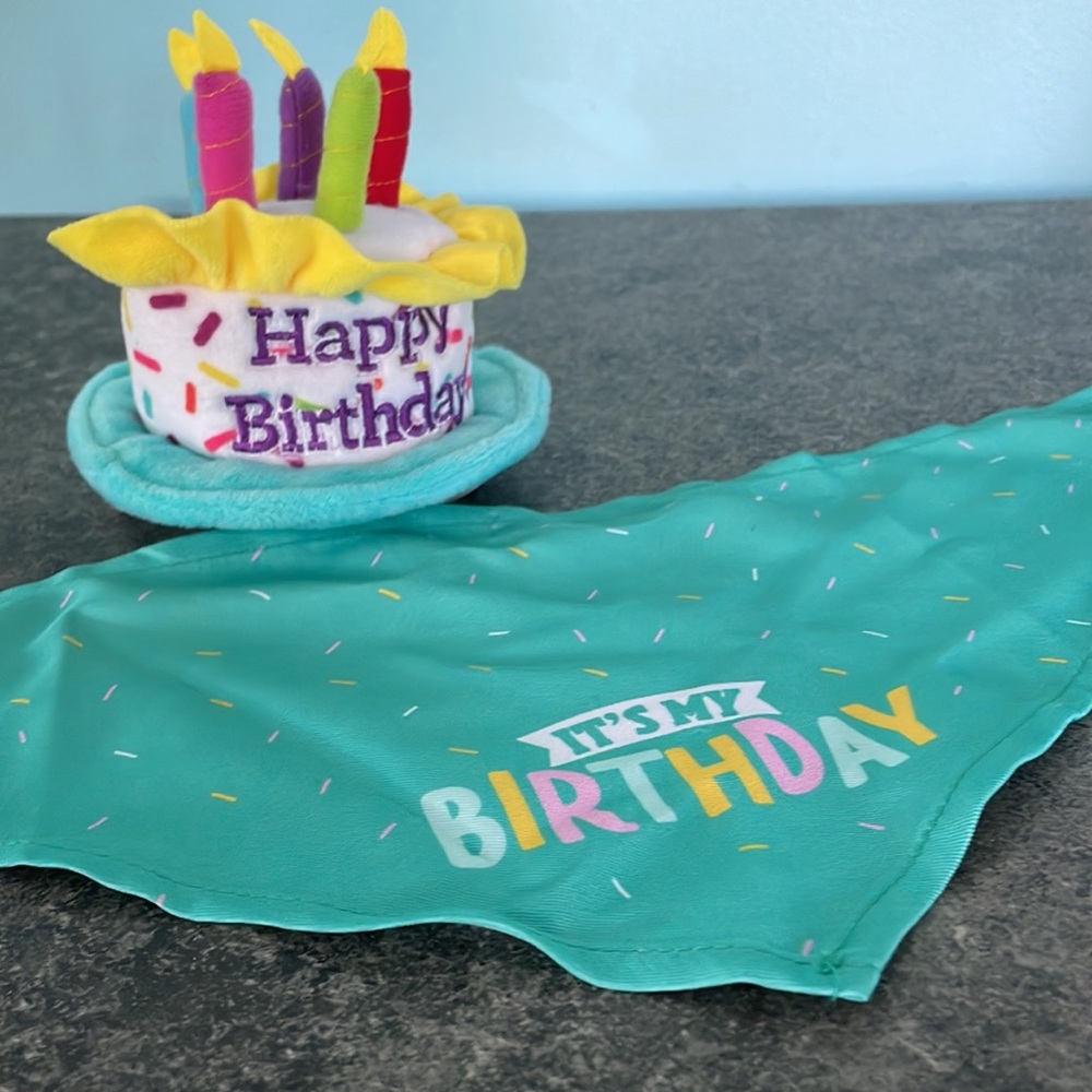 Teal "It's My Birthday" Dog Bandana and Plush Cake Toy Set